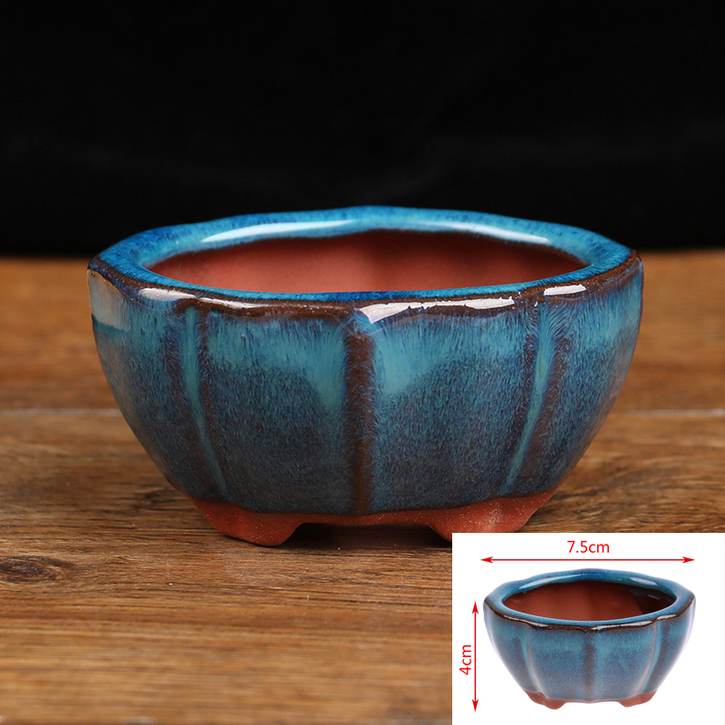 Bonsai Garden Chinese Garden - 1 pz Bonsai Mini Vaso di