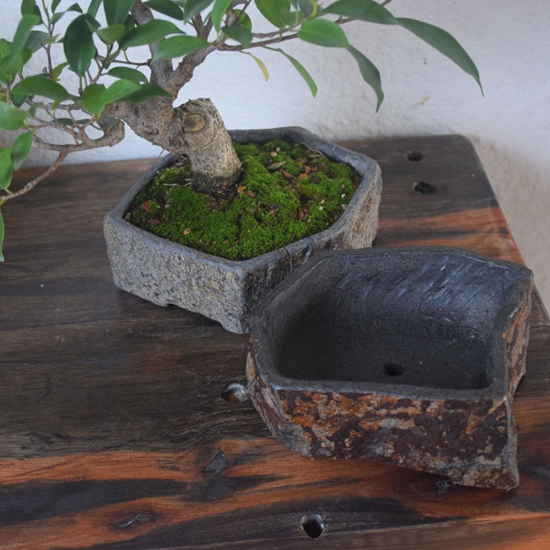 Vaso per Fiori in Pietra Natur - Bonsai Garden Chinese Garden recensione e prezzo