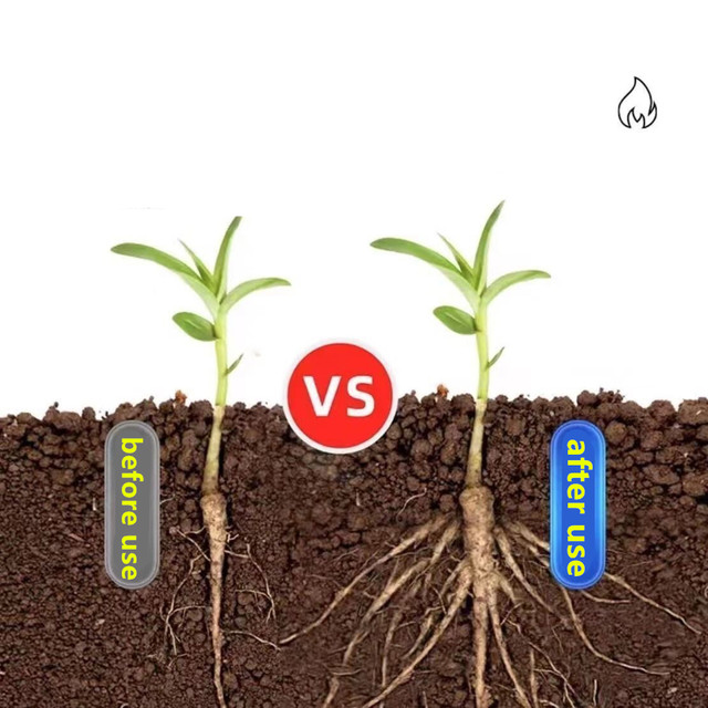 200g Giardino Solubile in Acqu - Elemental Bonsai Garden recensione e prezzo